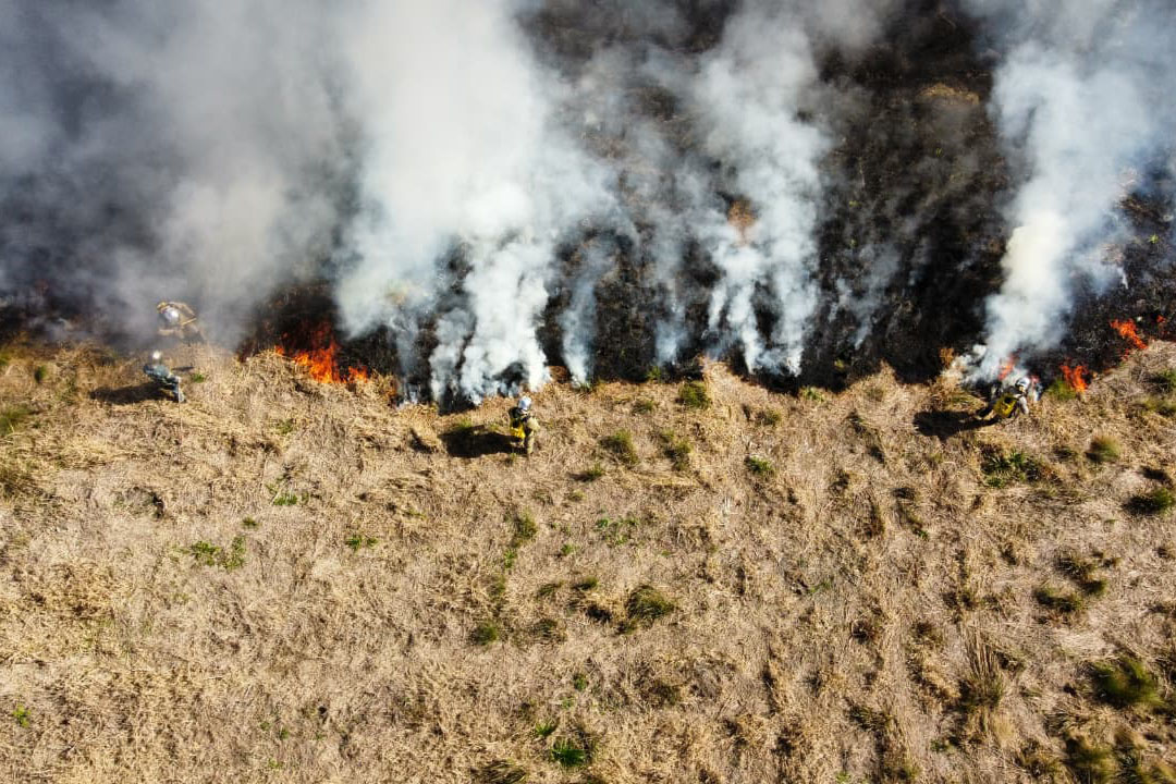 Bombeiros alertam: fogo em terrenos baldios pode causar grandes incêndios