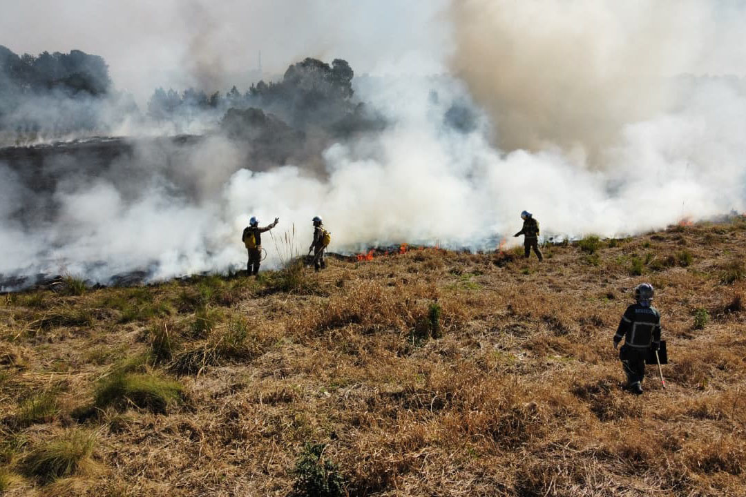 Bombeiros alertam: fogo em terrenos baldios pode causar grandes incêndios