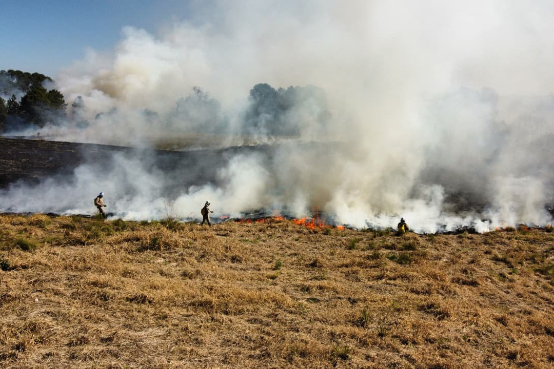 Bombeiros alertam: fogo em terrenos baldios pode causar grandes incêndios