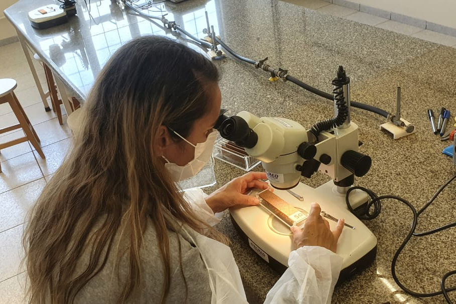 Paraná tem queda de 85% nos casos e de 82% de óbitos por dengue entre janeiro e julho