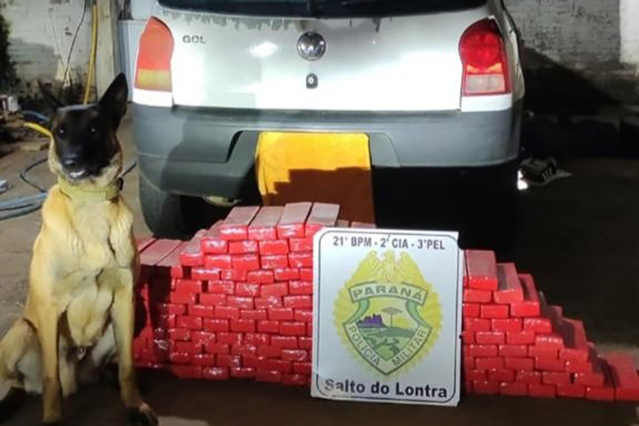 PMPR apreende 950 quilos de maconha no fim de semana: prejuízo milionário ao tráfico