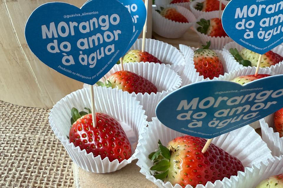 Agricultores da Bacia do Miringuava apoiados pela Sanepar estreiam na Feira Sabores do Paraná