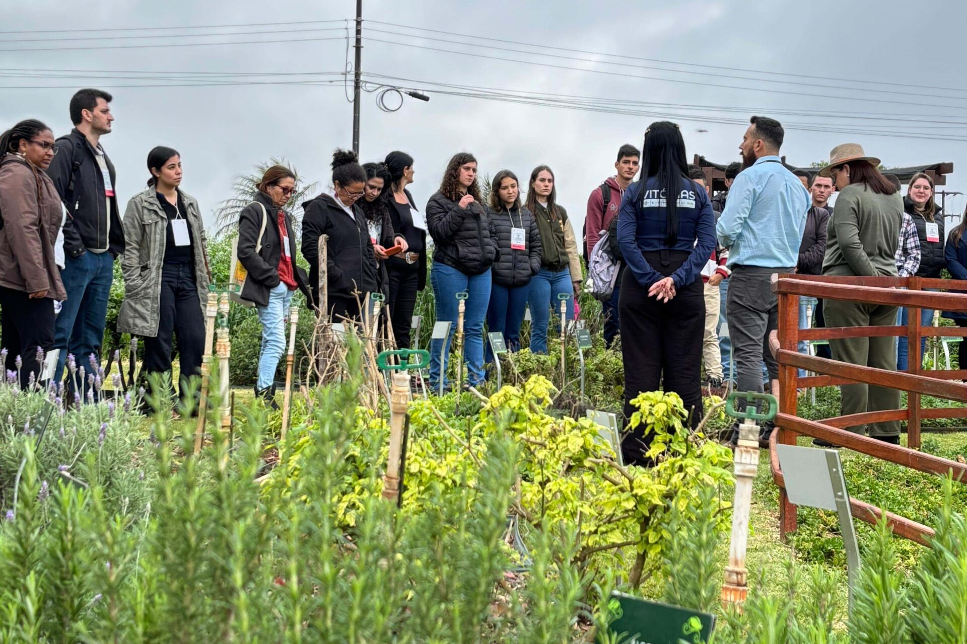 Com apoio do IDR-PR, Cascavel sedia evento sobre agroecologia com foco no inverno