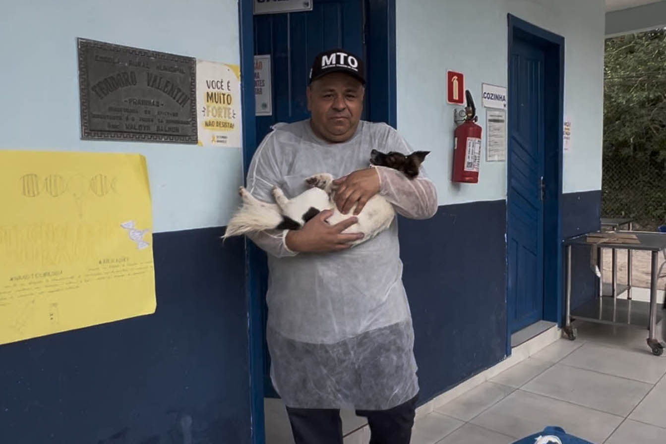 Passagem extra do CastraPet Paraná pela Ilha do Mel beneficia 102 animais
