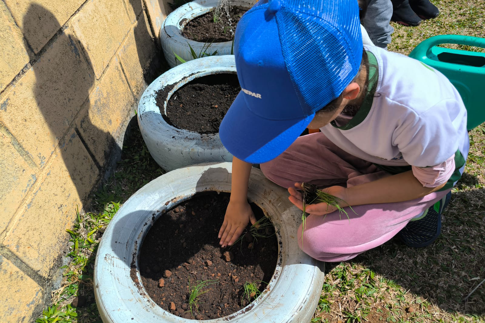Sanepar promove oficinas para incentivar o cultivo de hortas domésticas e comunitárias