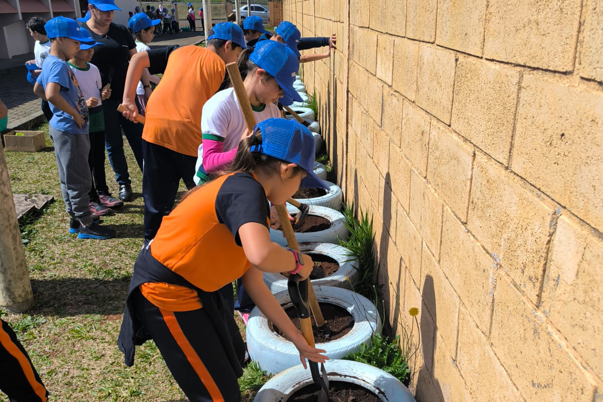 Sanepar promove oficinas para incentivar o cultivo de hortas domésticas e comunitárias