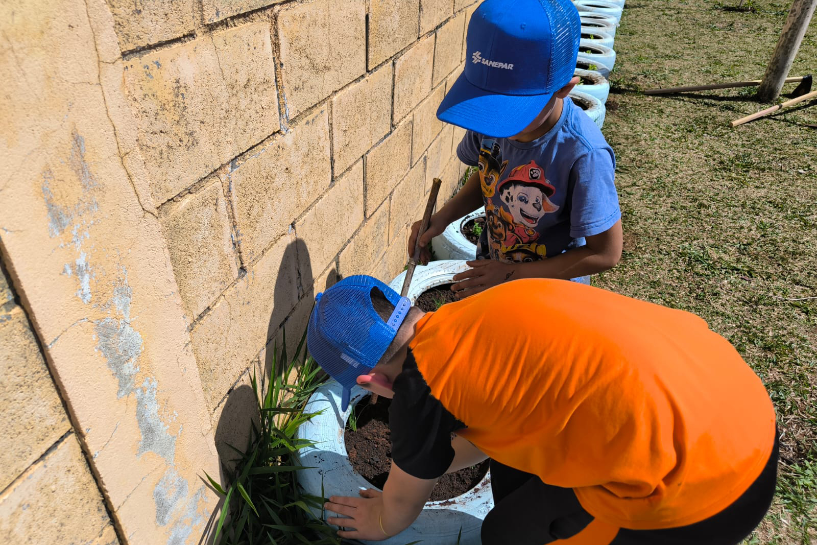 Sanepar promove oficinas para incentivar o cultivo de hortas domésticas e comunitárias
