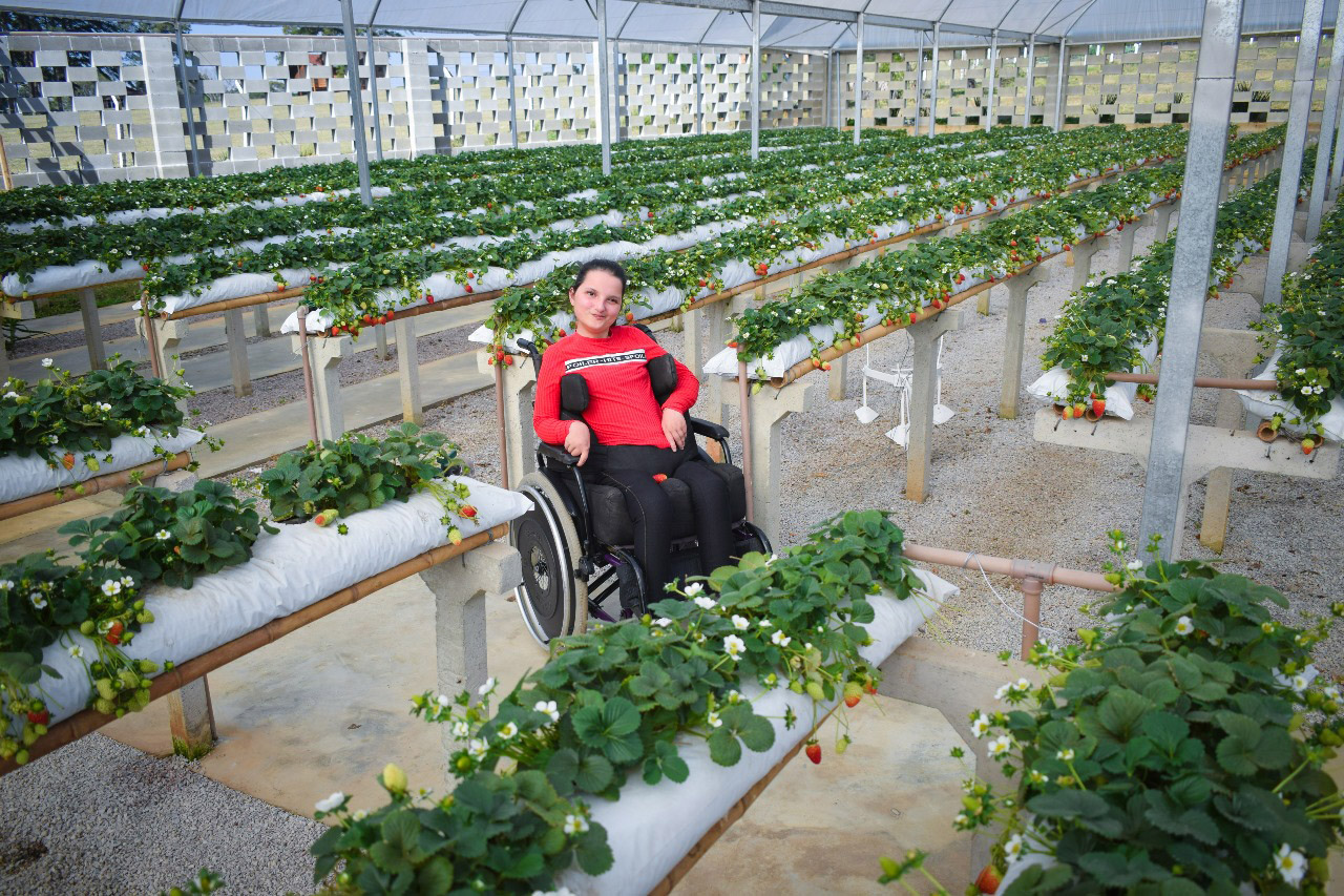 Produtores de Tijucas do Sul criam espaço para receber pessoas com deficiência