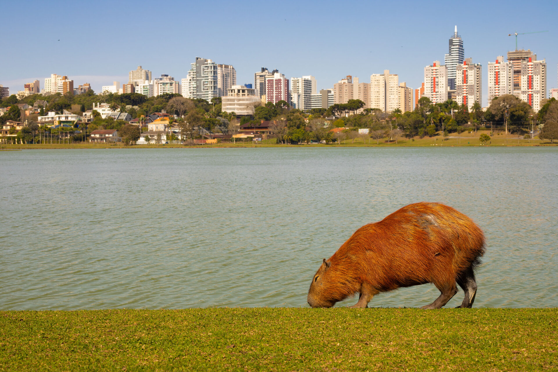 Feriado terá menos chuvas e temperaturas amenas no Paraná, prevê Simepar