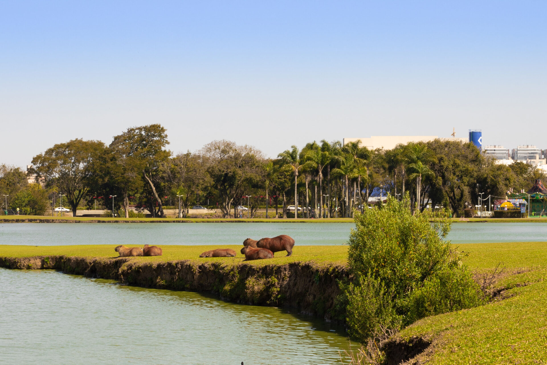 Feriado terá menos chuvas e temperaturas amenas no Paraná, prevê Simepar