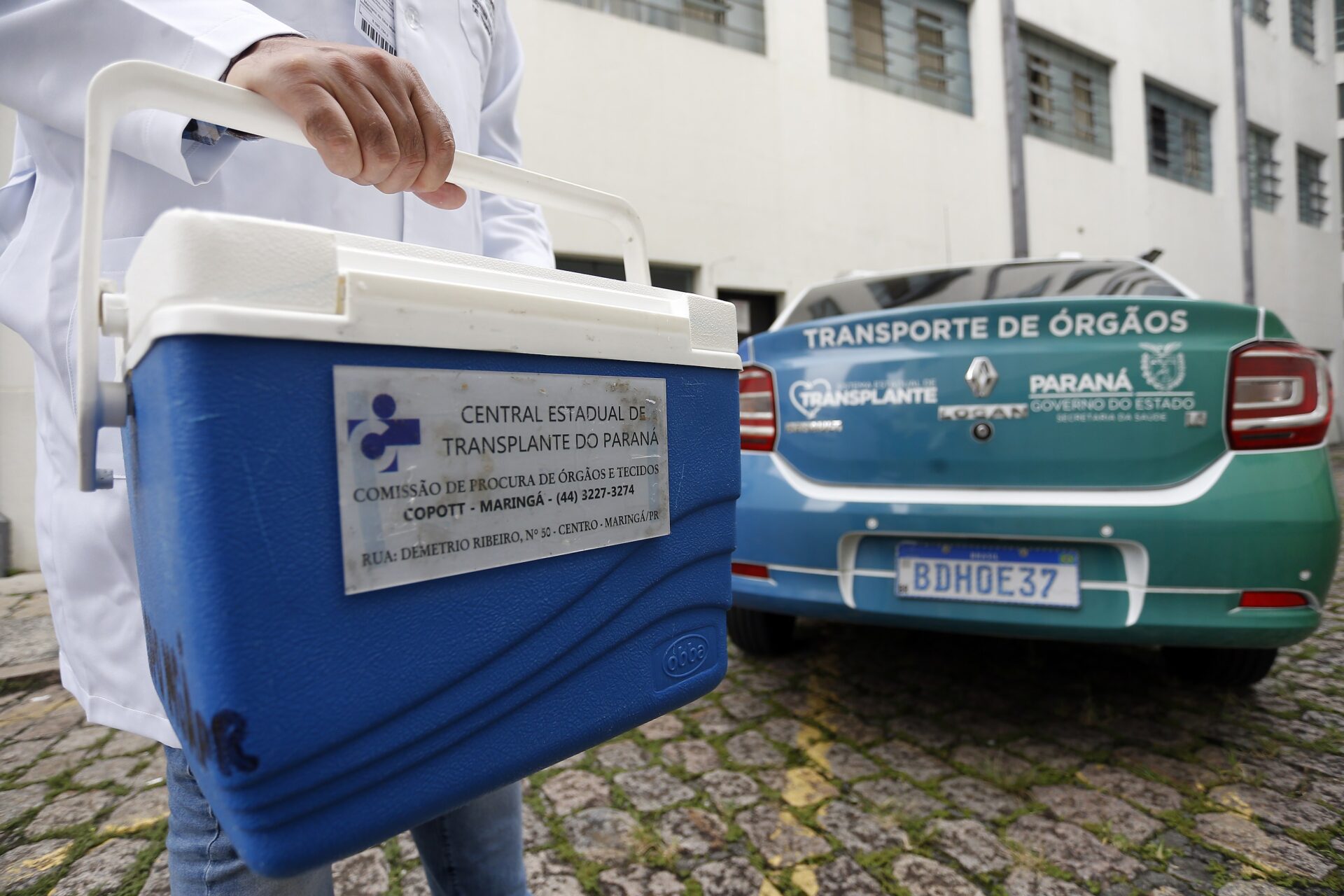 Setembro Verde: destaque no País, Paraná reforça incentivo à doação de órgãos