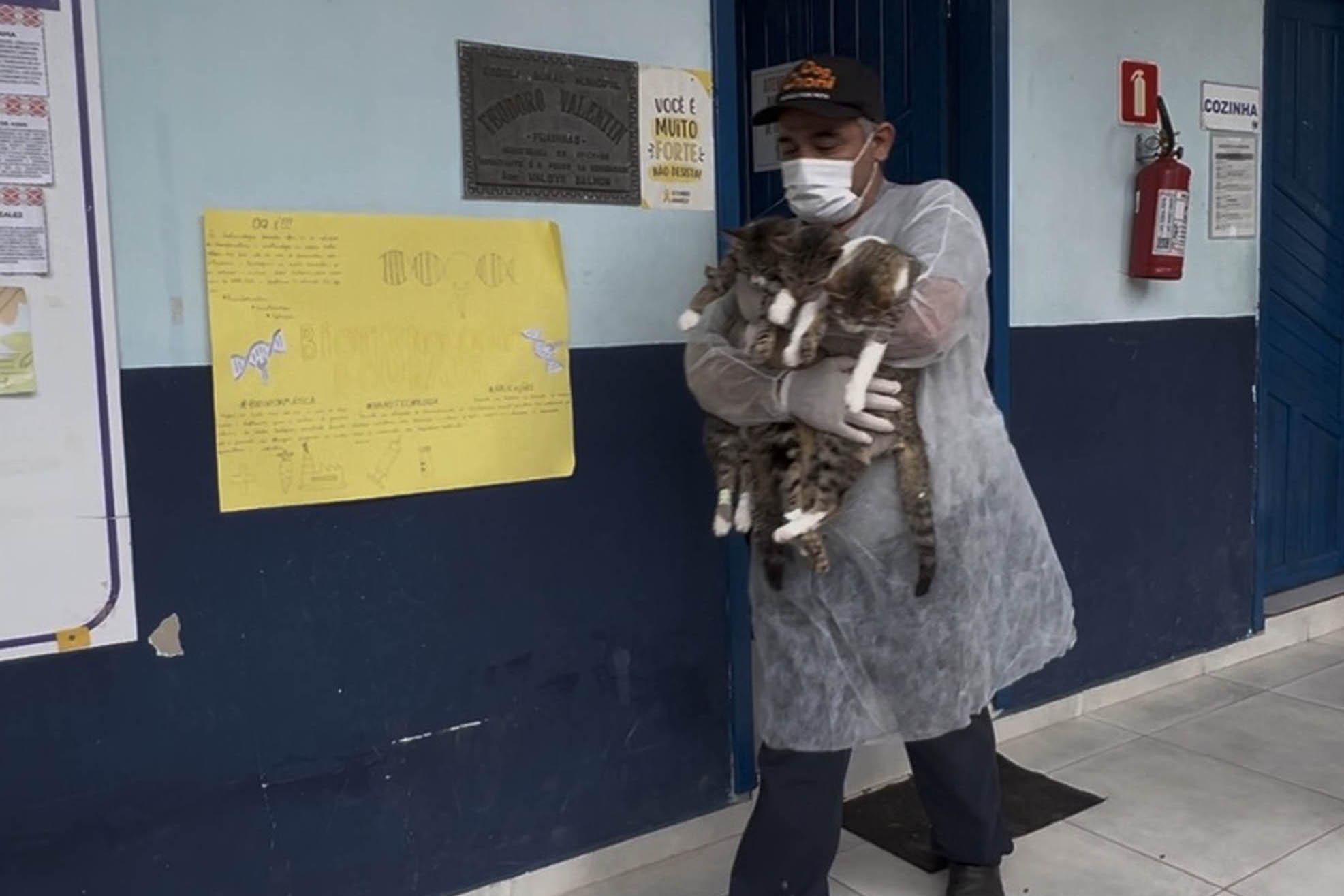 Passagem extra do CastraPet Paraná pela Ilha do Mel beneficia 102 animais