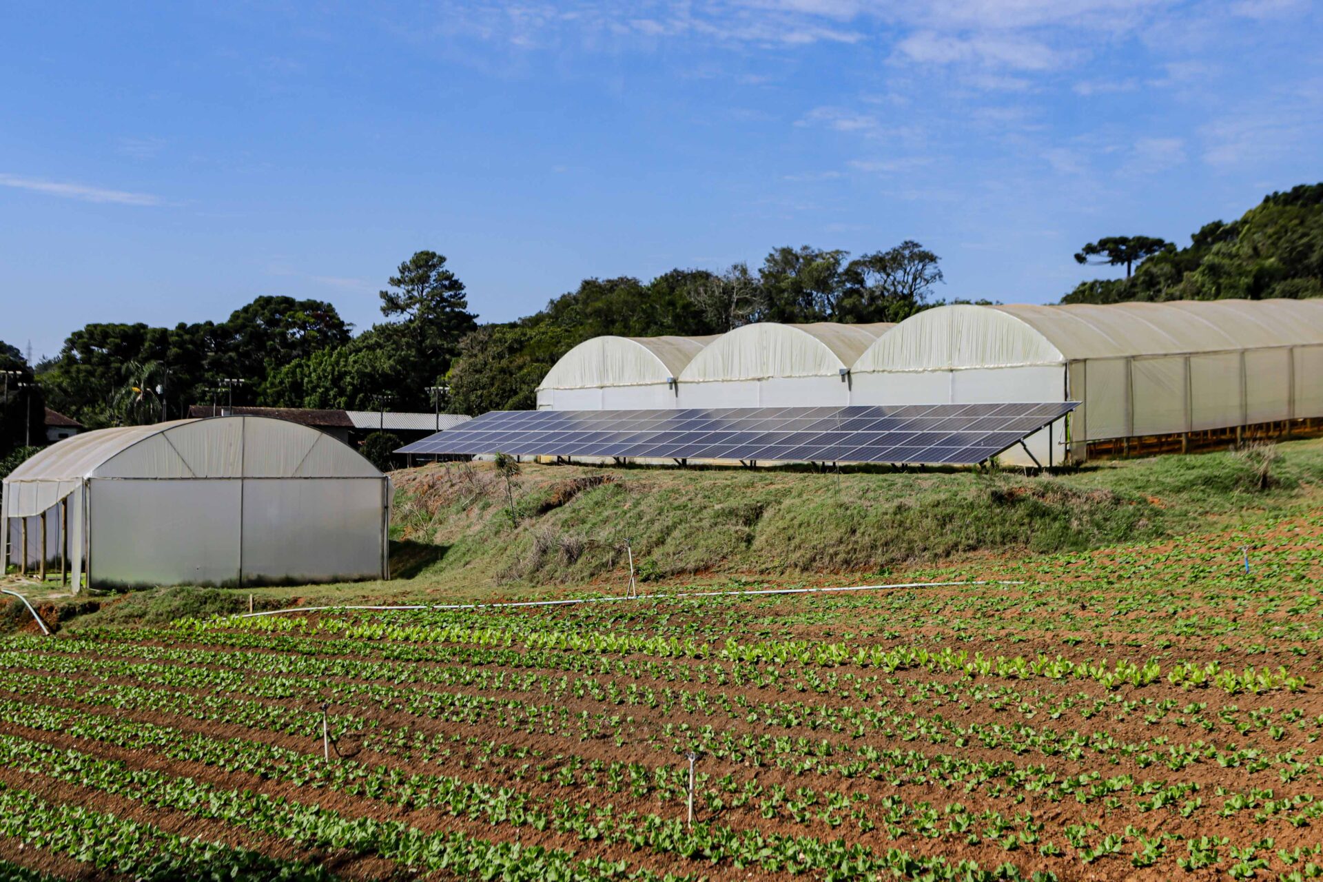 Paraná alcança marca de 1 gigawatt de energia em geração distribuída no meio rural