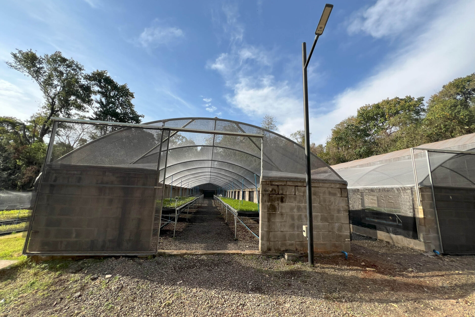 200 mil mudas por ano: Estado inaugura novas instalações do viveiro florestal de Ibiporã