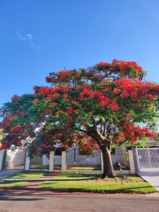 1º Concurso Cascavel em Foto celebra os valores e belezas do município em registros memoráveis