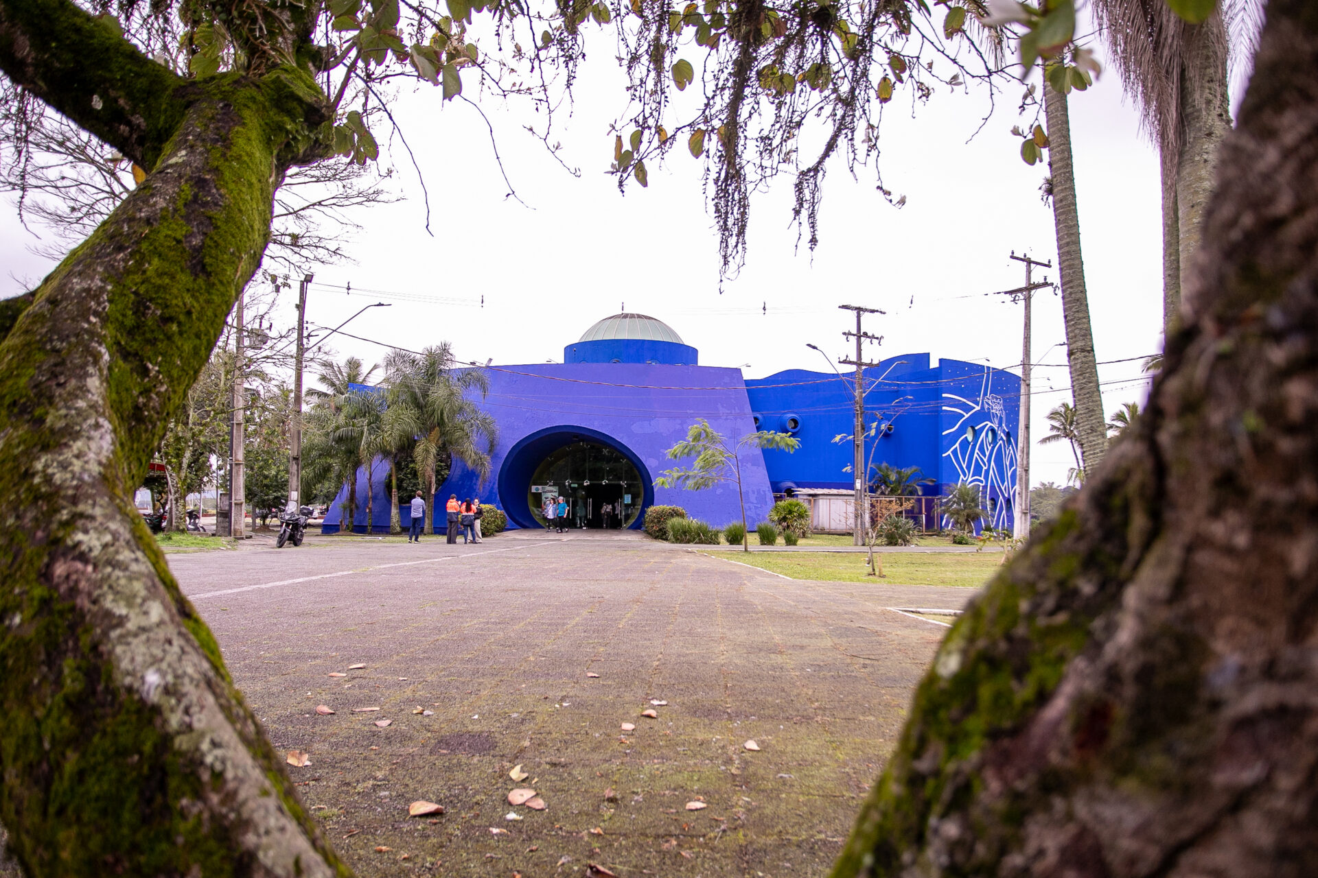 Portos do Paraná investe em manutenção e reforma do Aquário de Paranaguá