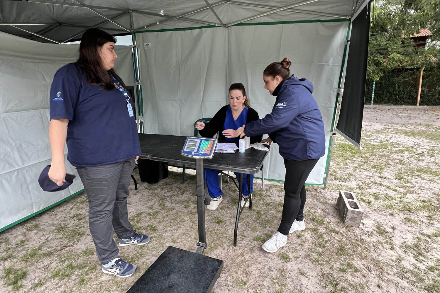 Passagem extra do CastraPet Paraná pela Ilha do Mel beneficia 102 animais