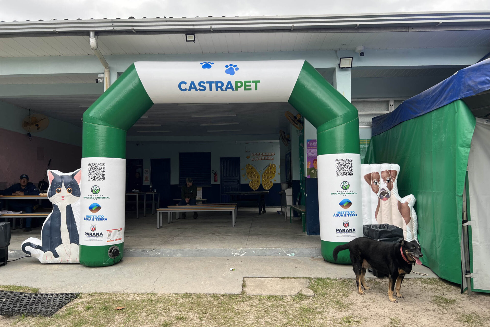 Passagem extra do CastraPet Paraná pela Ilha do Mel beneficia 102 animais