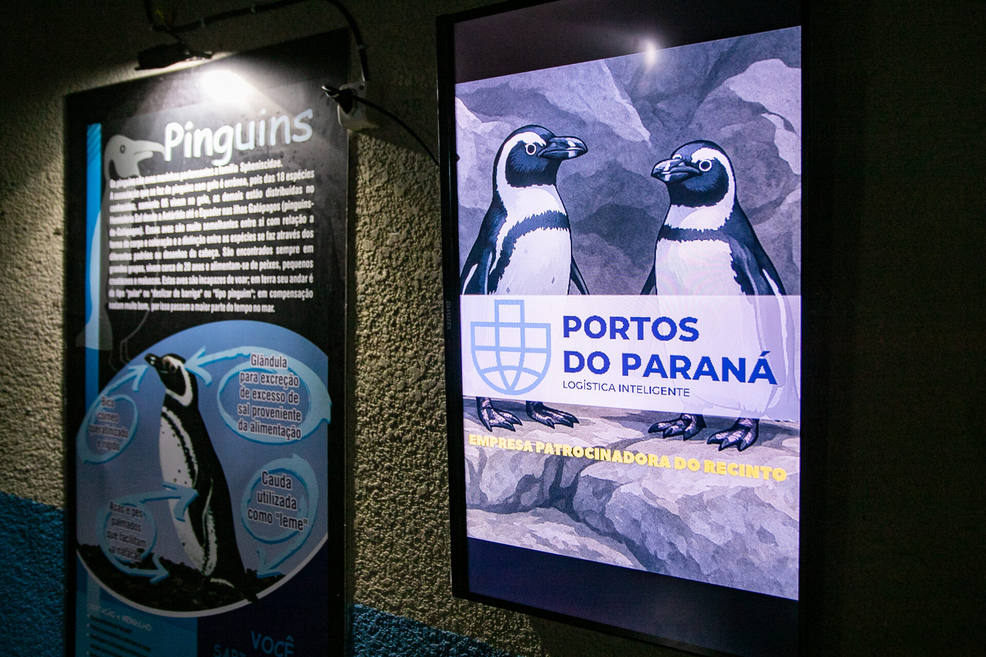 Portos do Paraná investe em manutenção e reforma do Aquário de Paranaguá