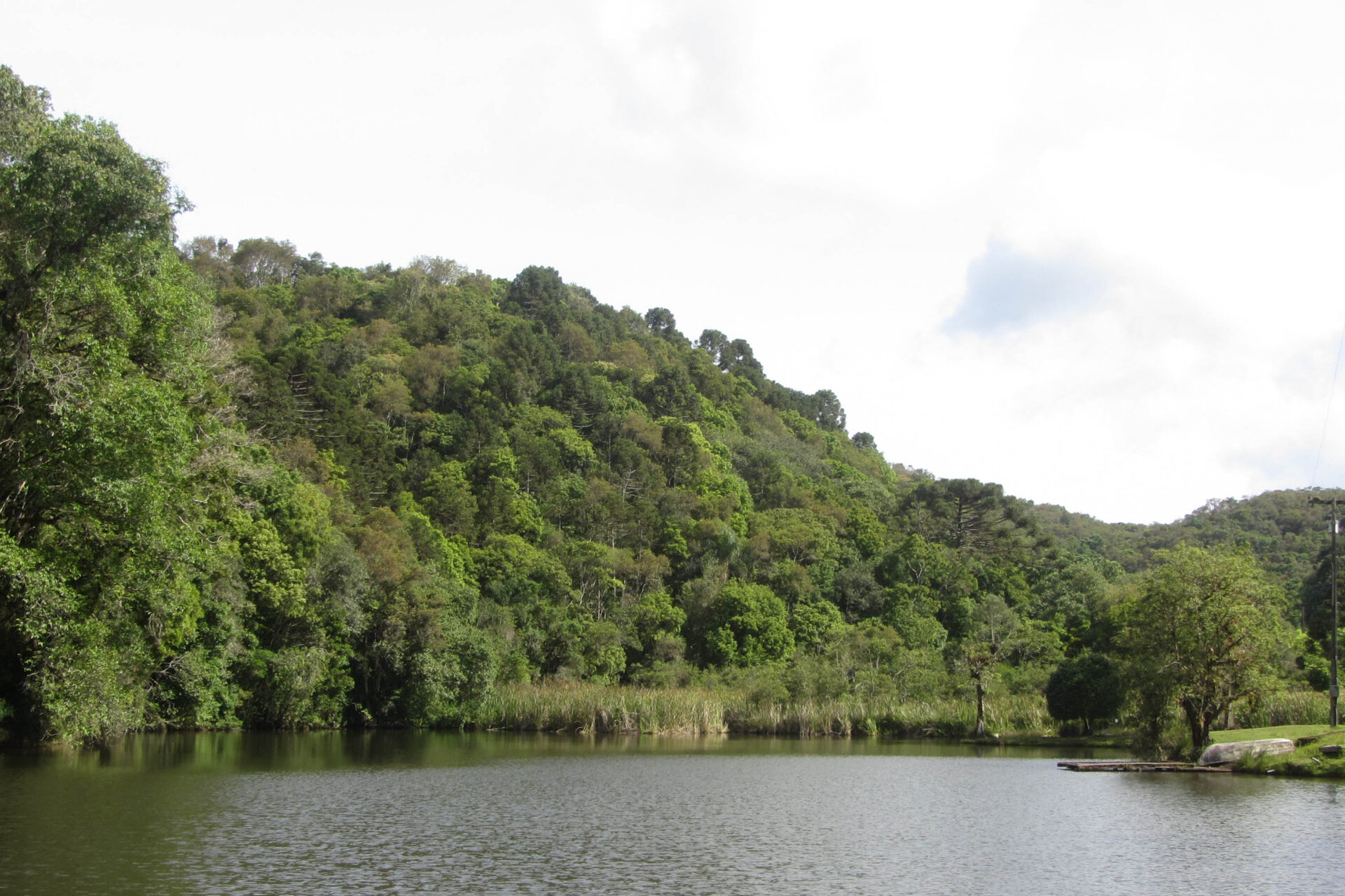 Créditos de Biodiversidade: edital para inscrição de RPPNs vai até 1º de outubro