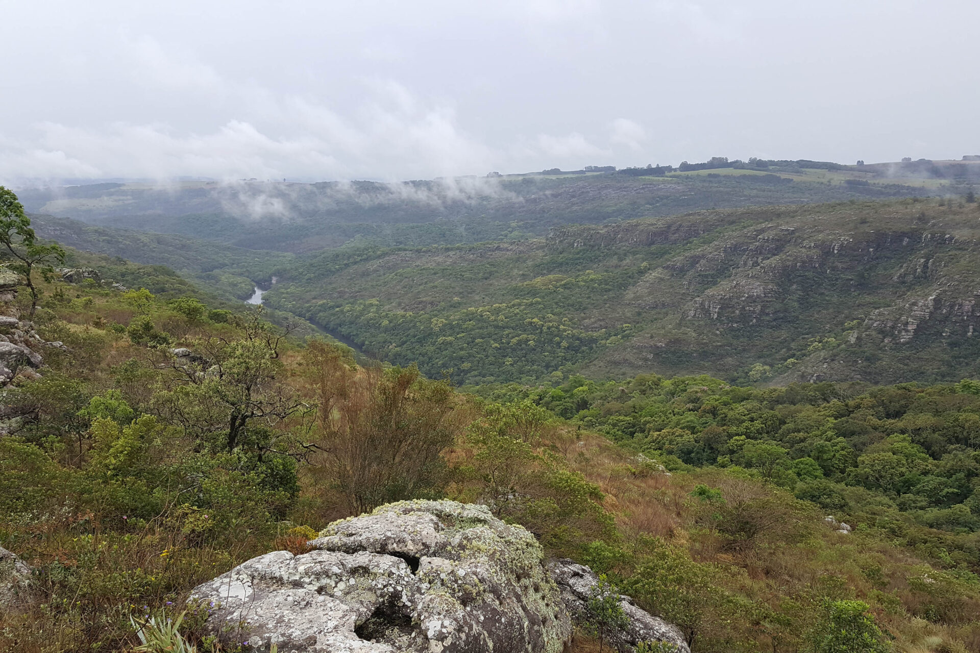 Créditos de Biodiversidade: edital para inscrição de RPPNs vai até 1º de outubro