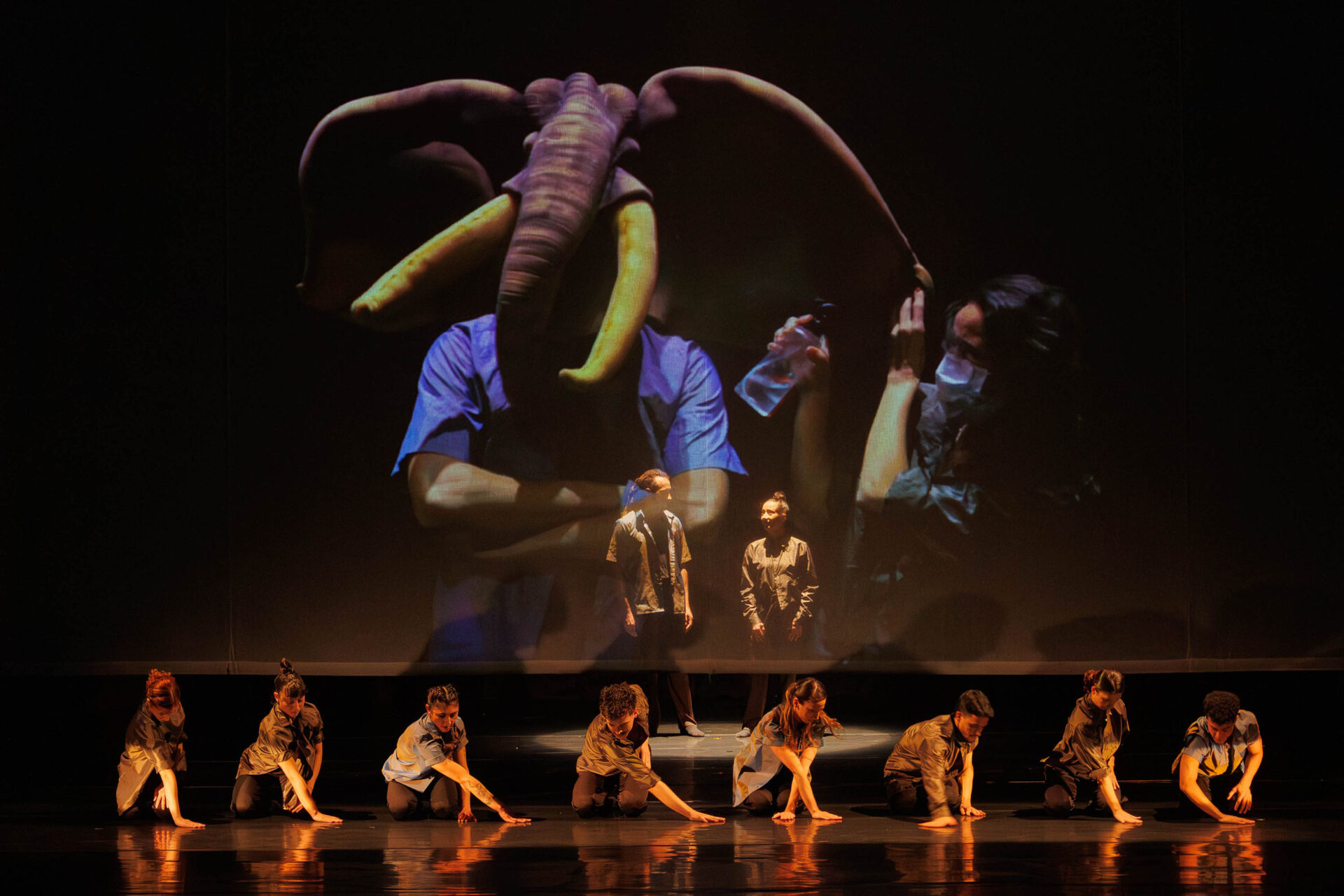 Balé Teatro Guaíra: duas noites de casa cheia marcam sucesso de V.I.C.A. e Stol no Guairinha