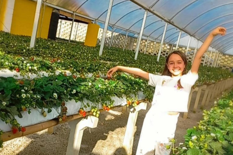 Produtores de Tijucas do Sul criam espaço para receber pessoas com deficiência