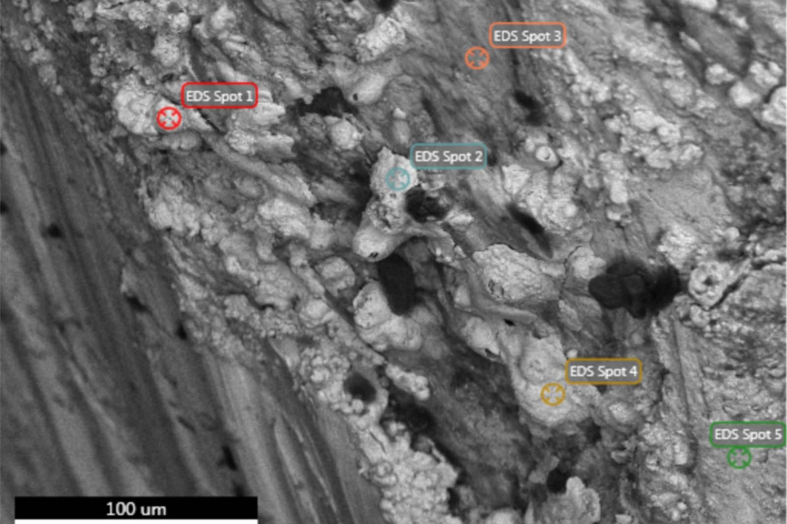 Polícia Científica do Paraná é destaque internacional por pioneirismo na Geologia Forense