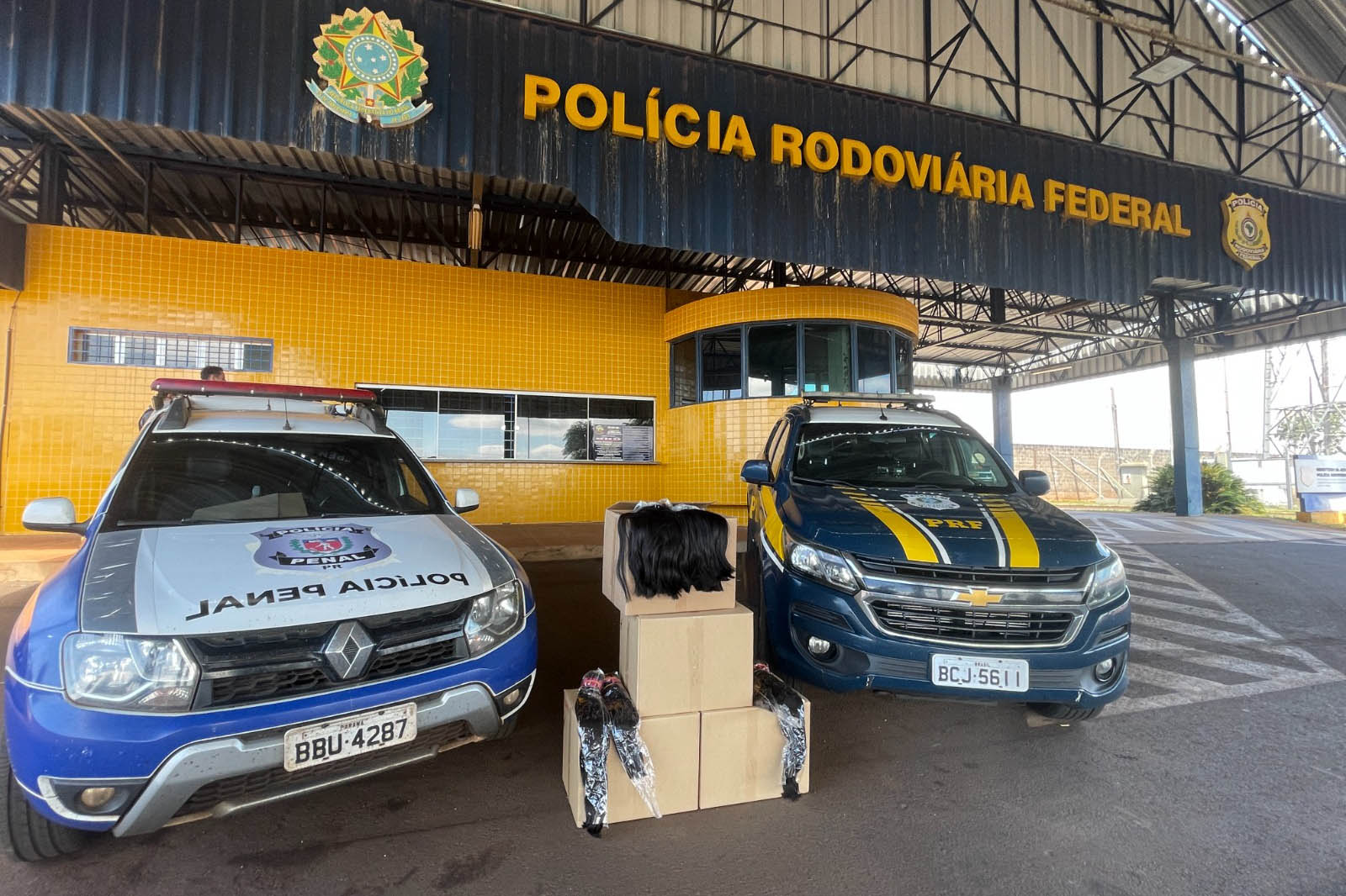 Custodiadas de Goioerê vão produzir cerca de 2 mil perucas com cabelo apreendido pela PRF