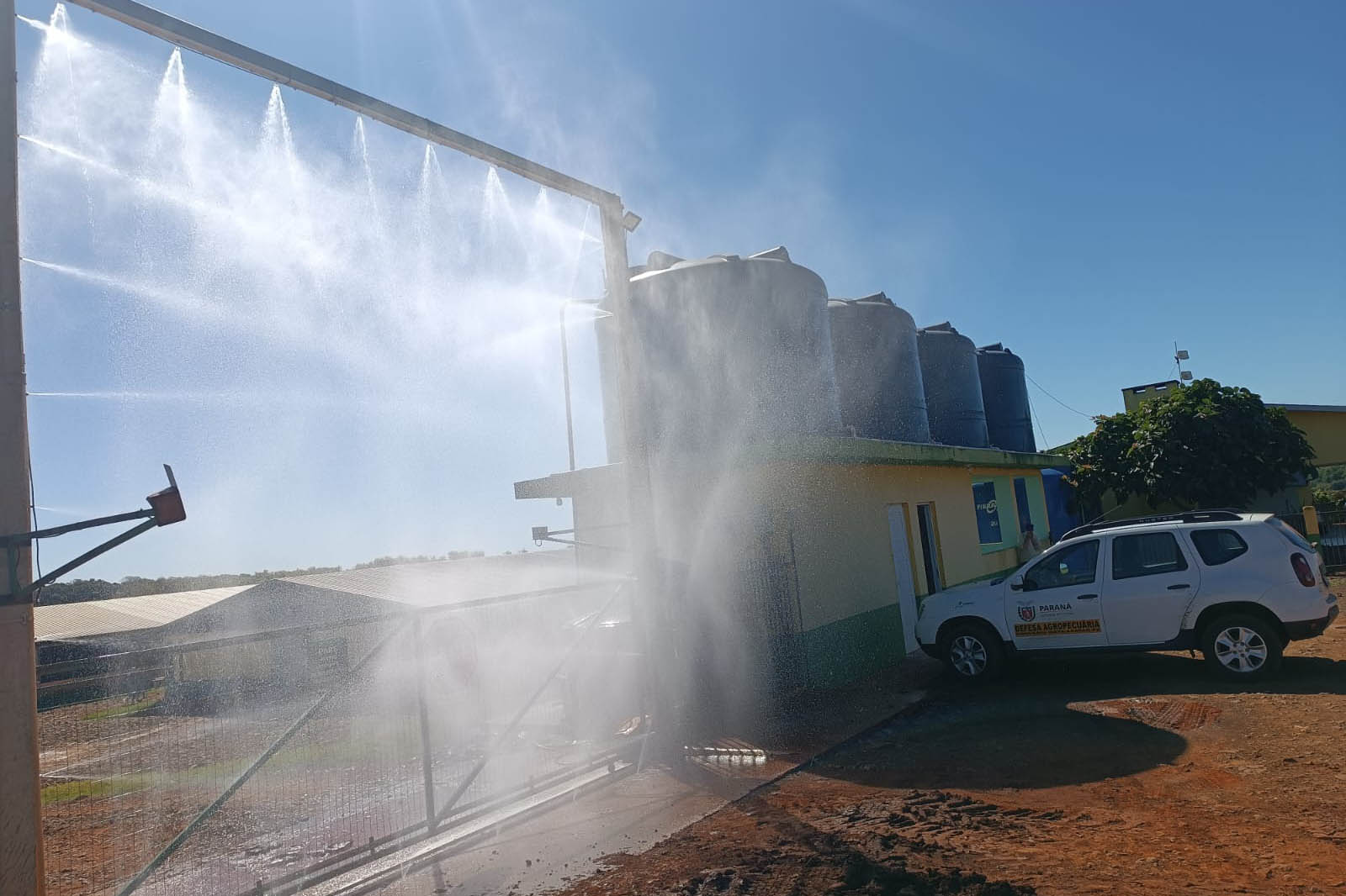 Adapar promove força-tarefa para garantir biosseguridade em estabelecimentos avícolas