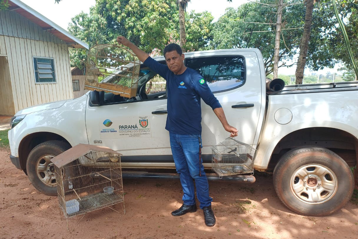 IAT resgata seis aves silvestres de criadouro irregular em Umuarama