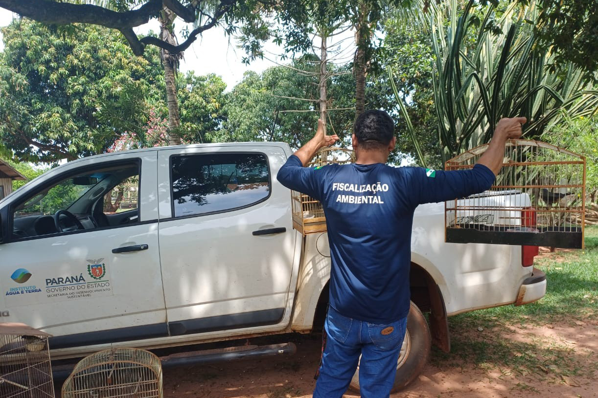 IAT resgata seis aves silvestres de criadouro irregular em Umuarama