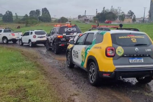 PCPR, PMPR e IAT prendem mulher por tráfico de animais em Guarapuava