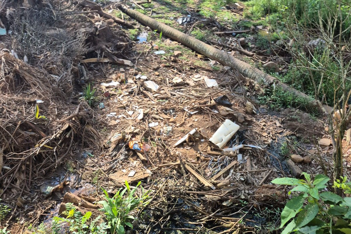 IAT multa prefeitura e proprietário de terreno em Cruz Machado por danos em APP