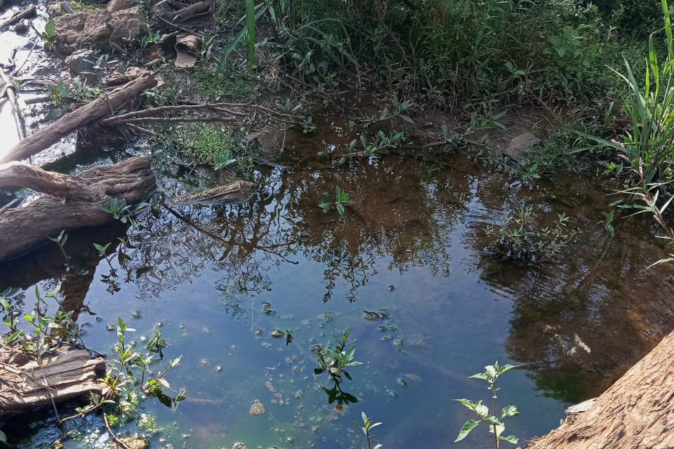 IAT multa prefeitura e proprietário de terreno em Cruz Machado por danos em APP