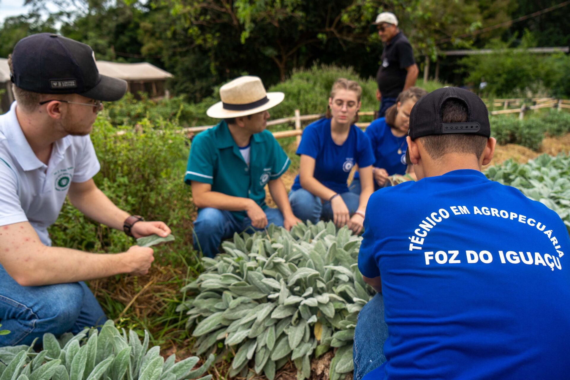 Paraná fortalece ensino agrícola com tecnologia, cursos técnicos e inovação aplicada