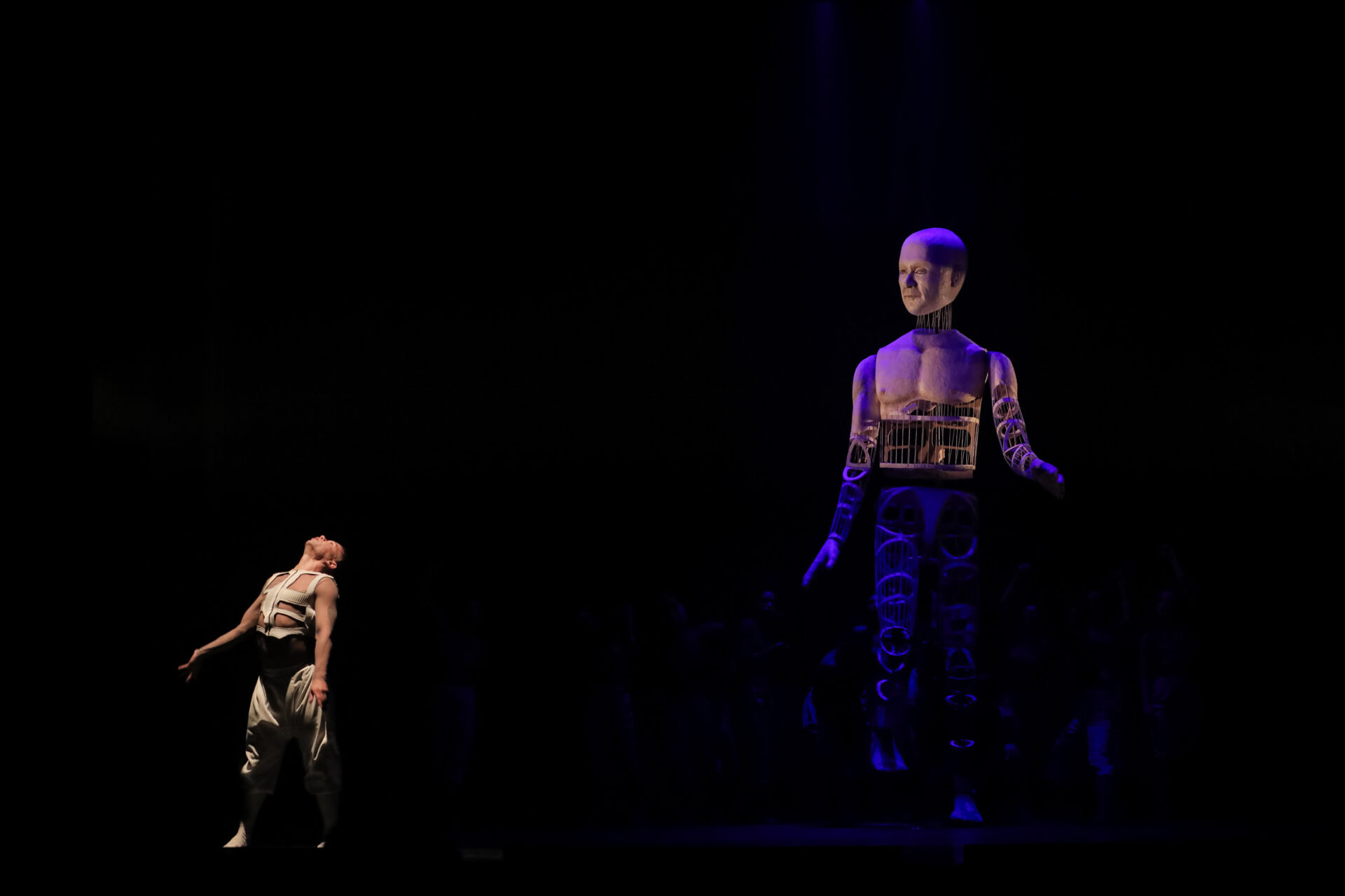 Balé Teatro Guaíra levanta a plateia e emociona na abertura do Festival de Dança de Londrina