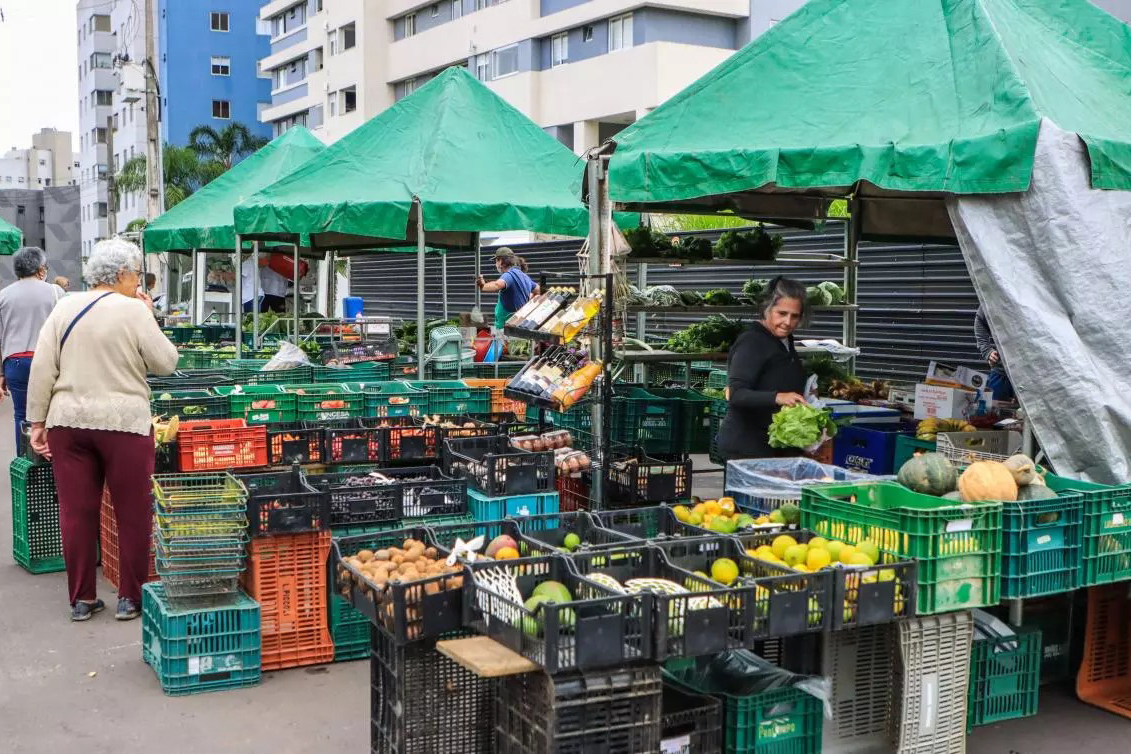 Estado investe R$ 14,7 milhões em nova fase do programa Paraná Mais Orgânico