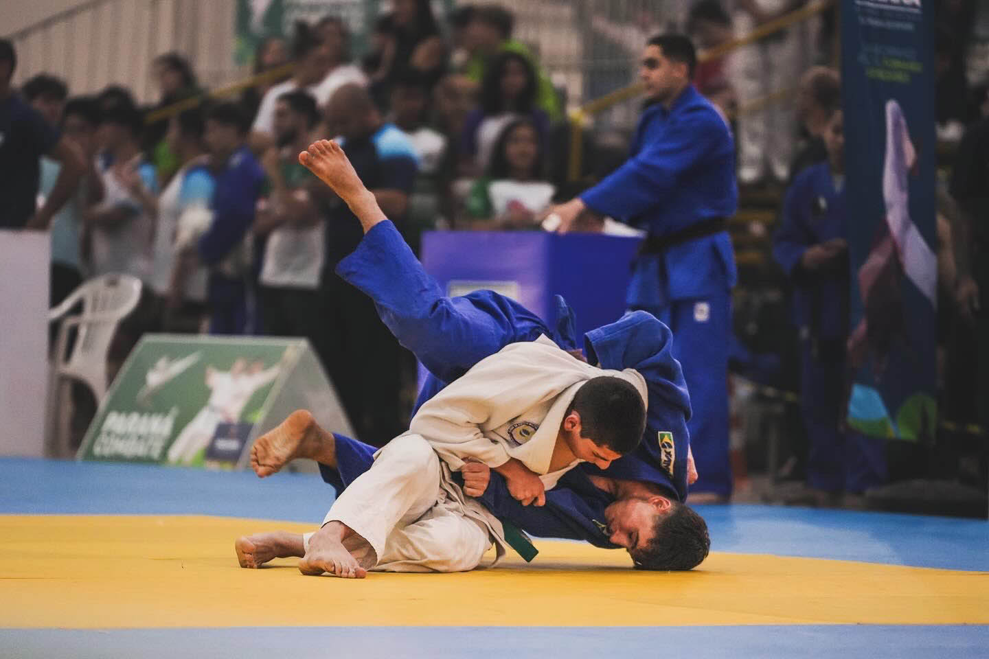 Kickboxing, judô, boxe e muito mais: Paraná Combate reúne 3,5 mil participantes em Maringá