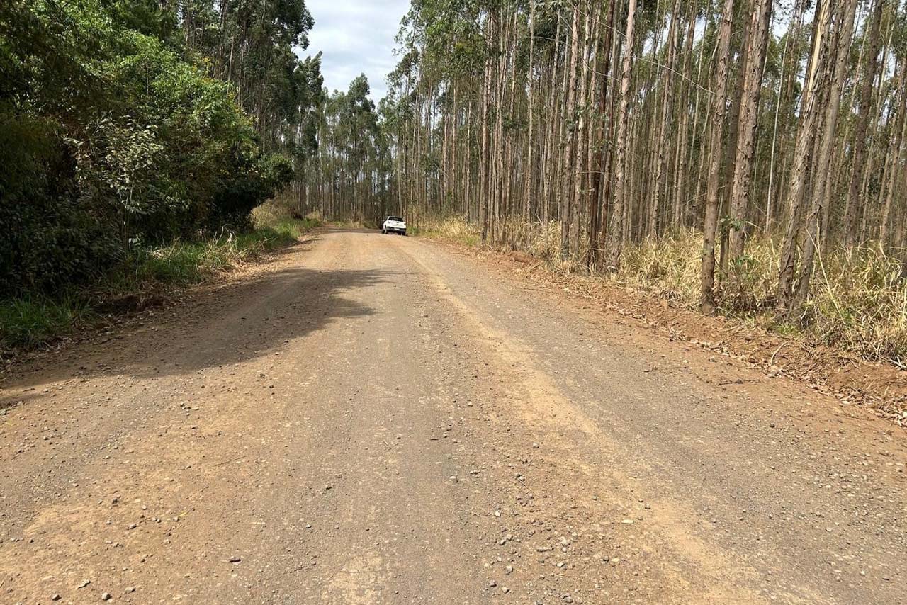 R$ 37 milhões: edital de pavimentação da PR-436 em Ibaiti tem primeiro resultado