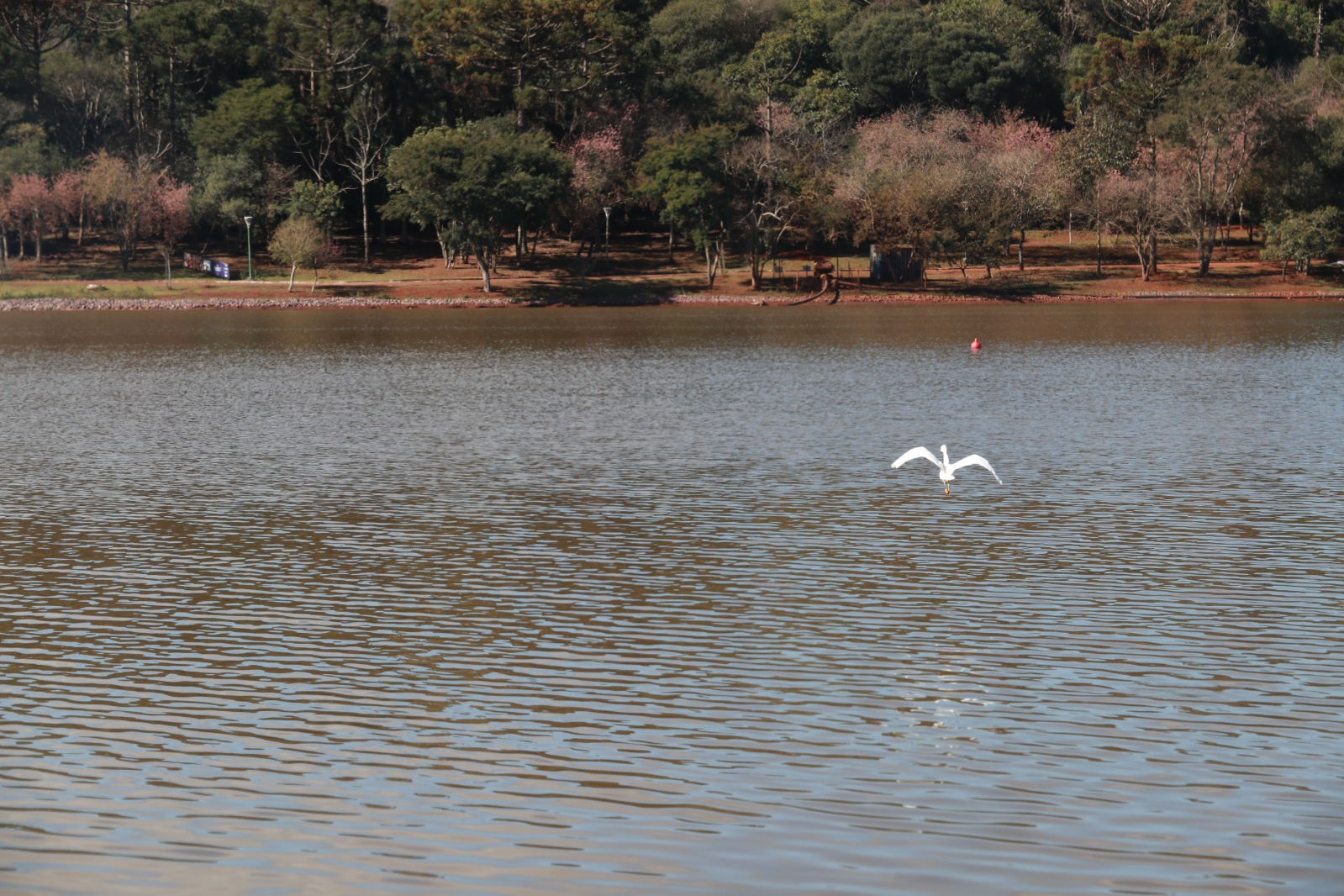 IAT emite licença ambiental para revitalização do Território Verde em Cascavel