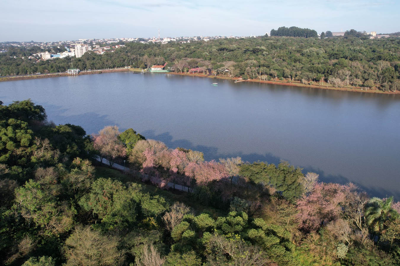 IAT emite licença ambiental para revitalização do Território Verde em Cascavel