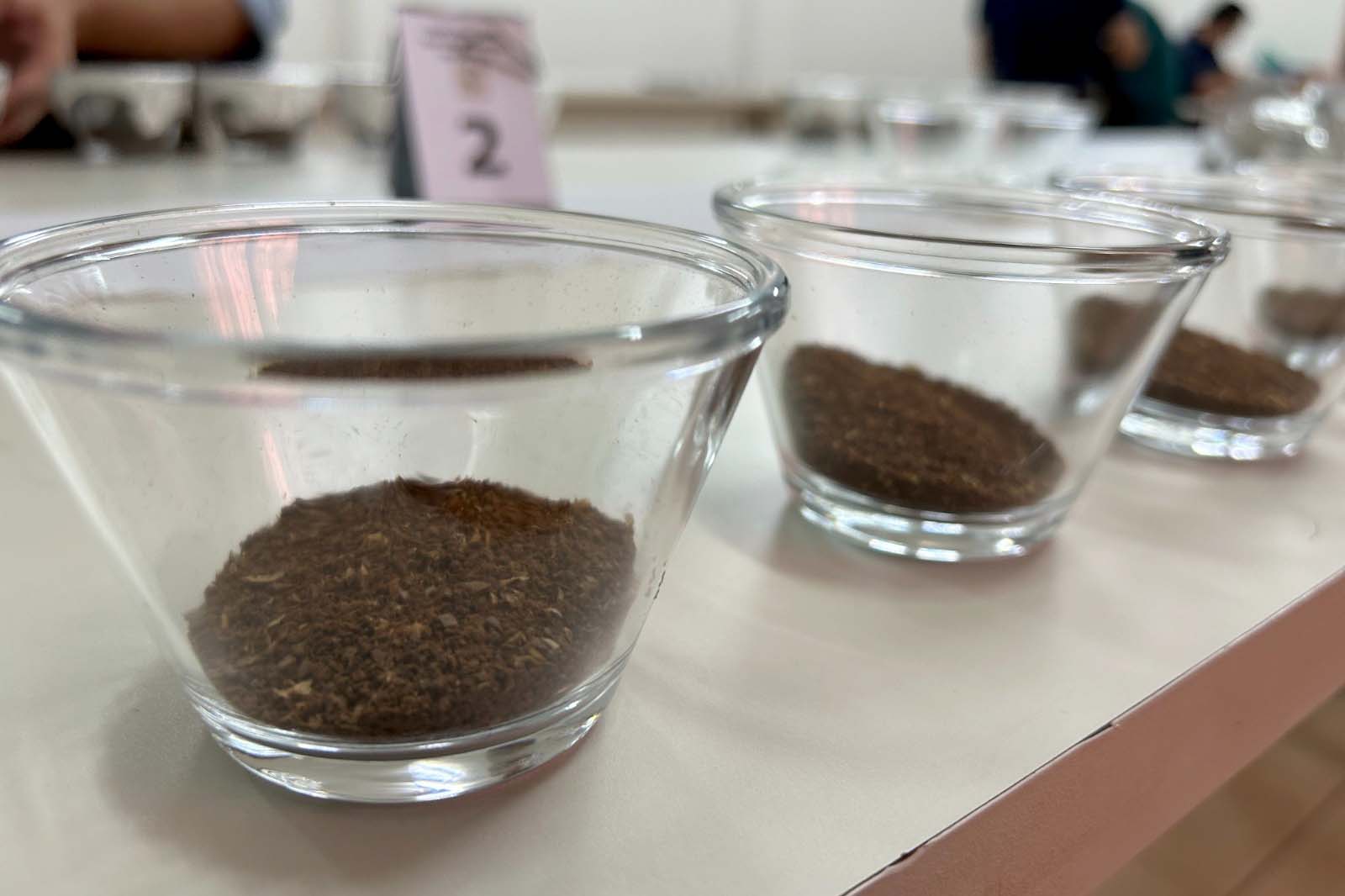 IDR-Paraná abre inscrições para curso de classificação e degustação de café