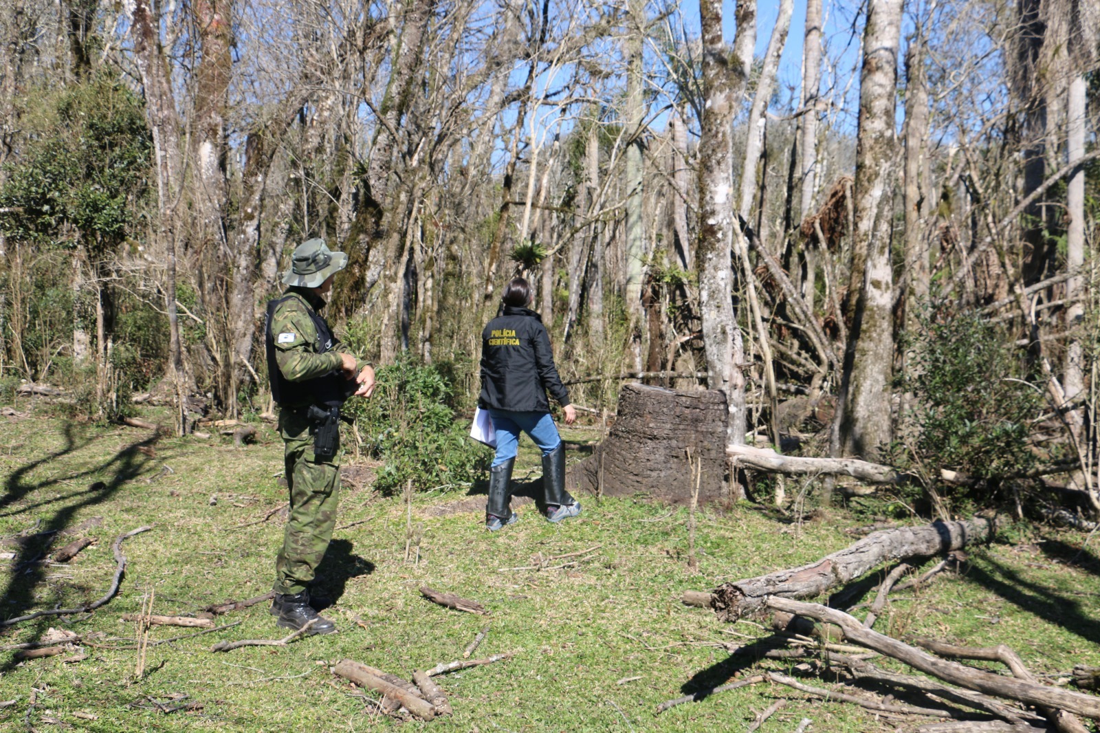 Departamento de perícia ambiental acelera resposta do Paraná a crimes contra fauna e flora
