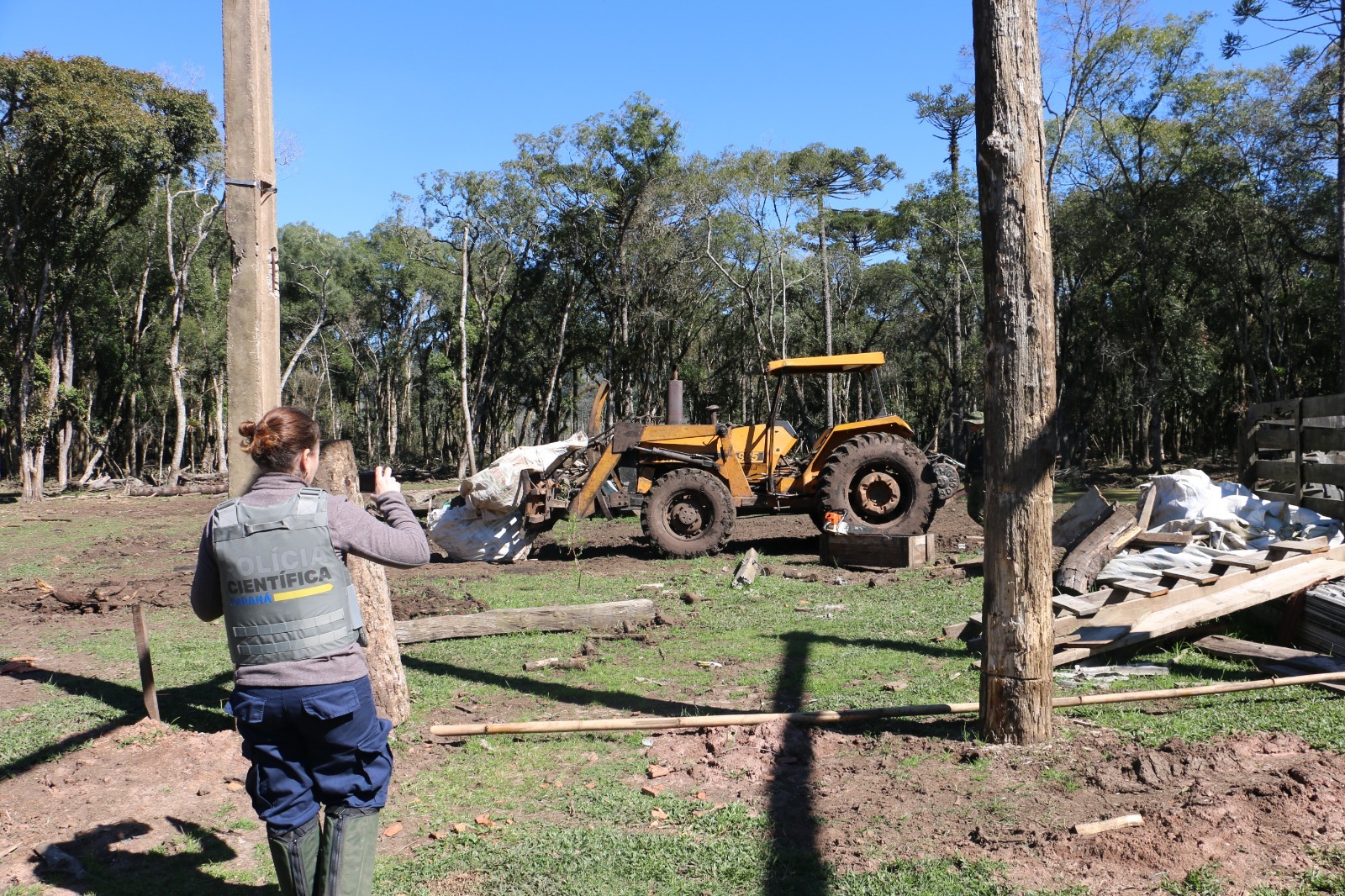 Departamento de perícia ambiental acelera resposta do Paraná a crimes contra fauna e flora