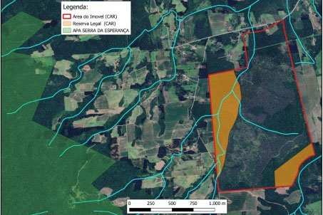 Departamento de perícia ambiental acelera resposta do Paraná a crimes contra fauna e flora