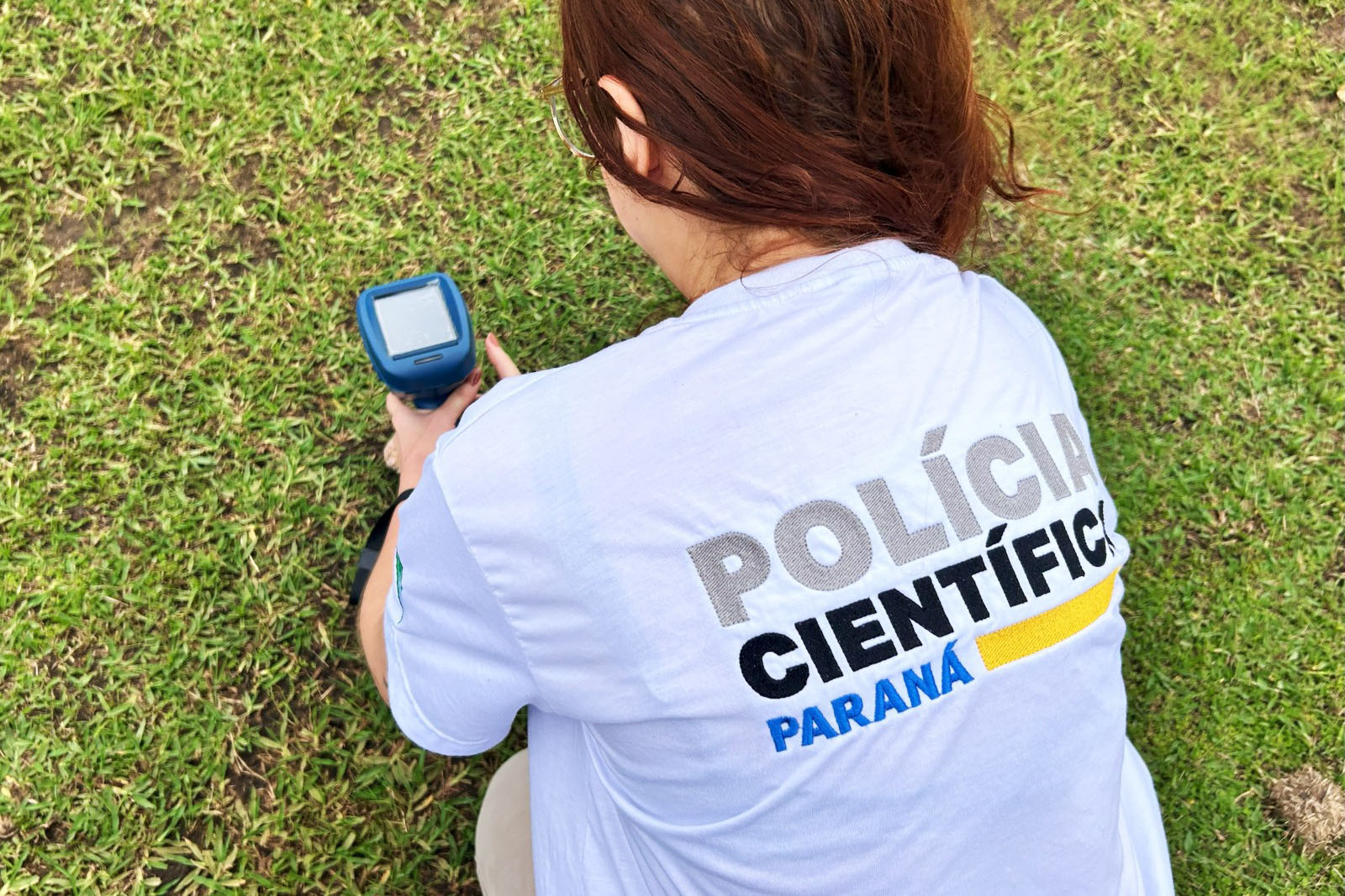 Departamento de perícia ambiental acelera resposta do Paraná a crimes contra fauna e flora